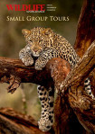 Small Group Wildlife Tours brochure front cover.
