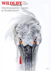 Wildlife Worldwide Brochure Winter 2023 brochure front cover.