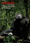 Wildlife Photography Tours brochure front cover.