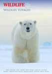 Wildlife Voyages brochure front cover.